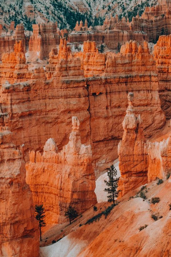 Wander Camp Bryce Canyon - Escalante Кеннонвілл Екстер'єр фото